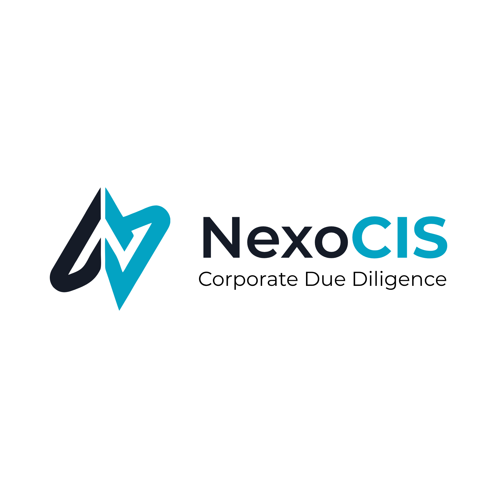 NexoCIS — Conoce mejor a personas y empresas