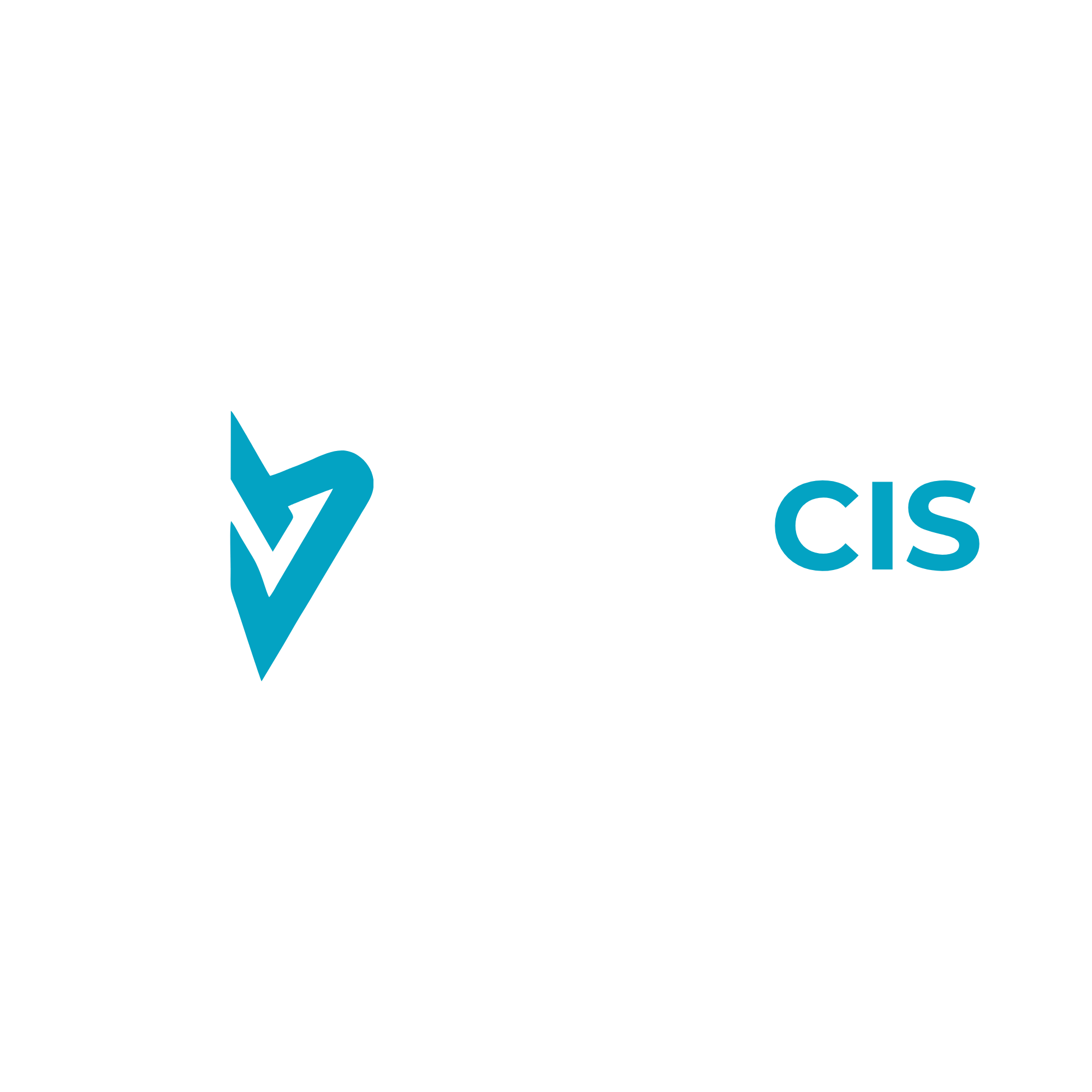 NexoCIS — Conoce mejor a personas y empresas